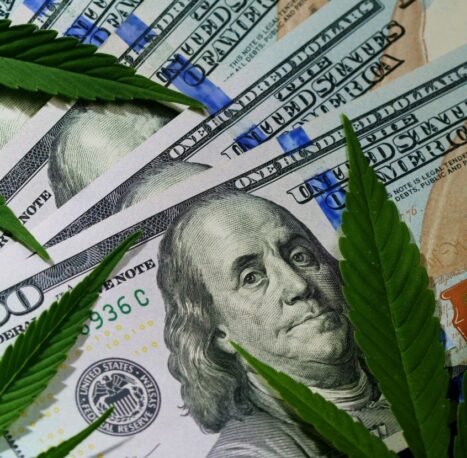 cannabis-marijuana-leaves-on-money-dollars-under-the leaves cannabis tax money under cannabis leaves