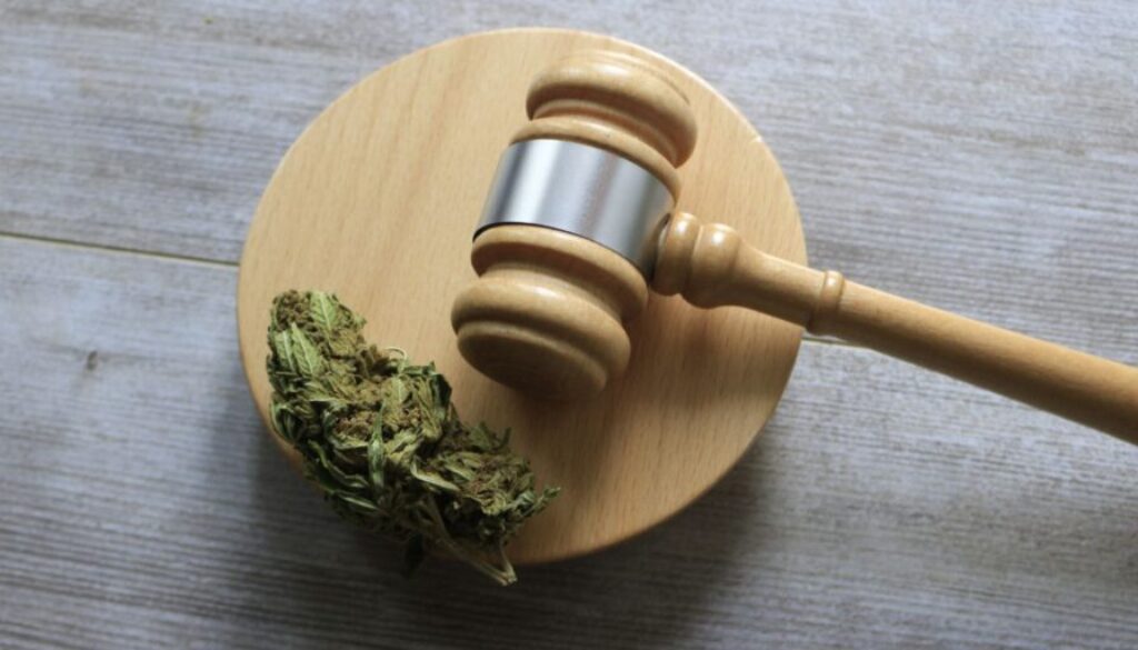 close up of cannabis law gavel