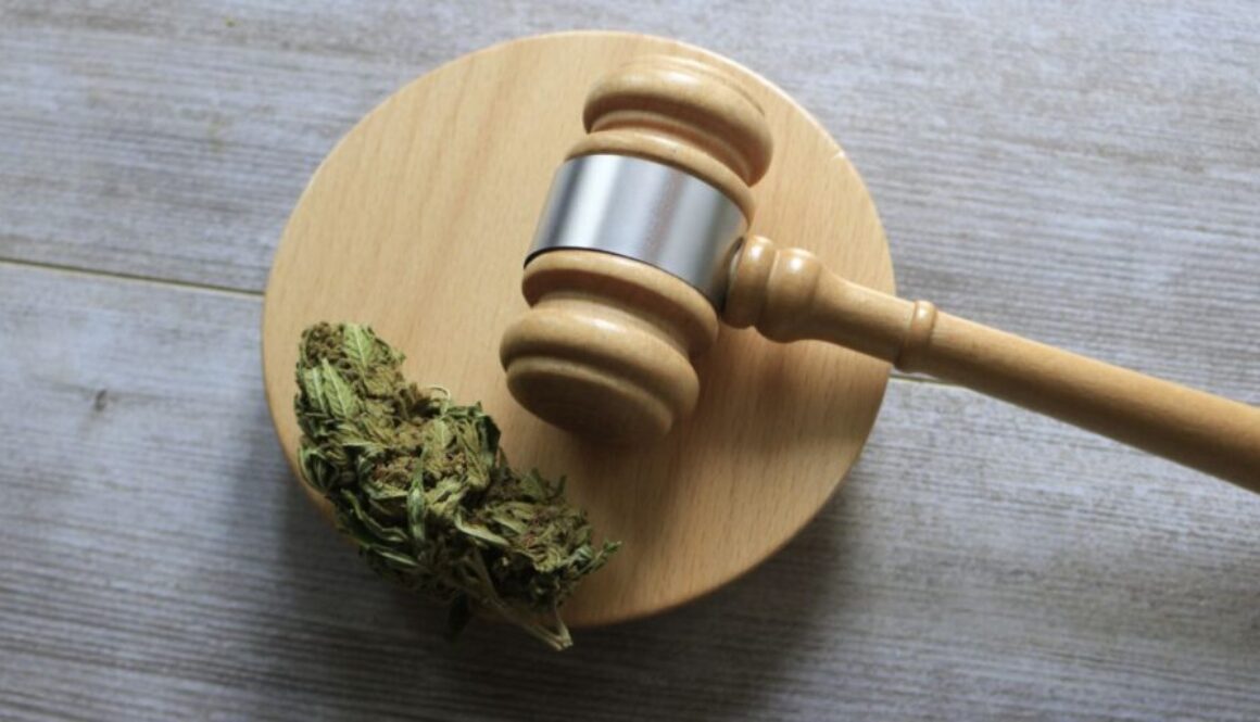 close up of cannabis law gavel