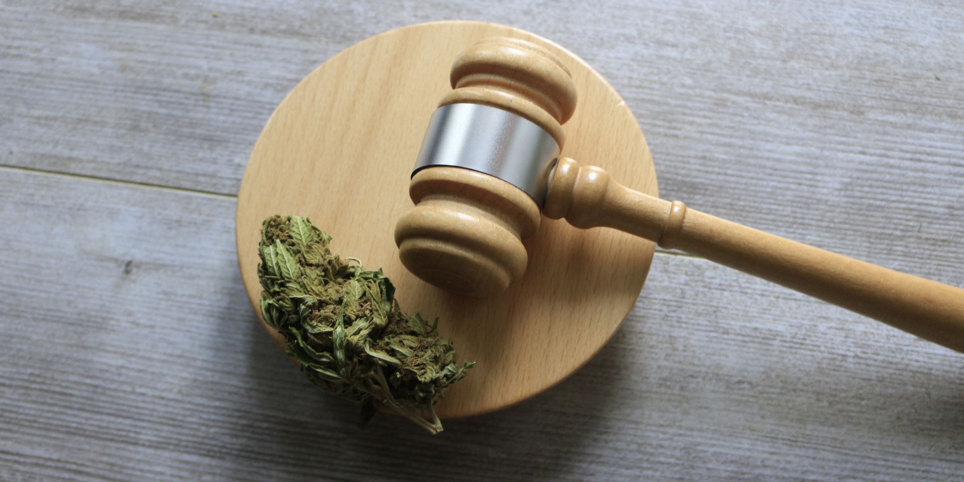 close up of cannabis law gavel